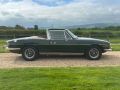 TRIUMPH STAG 3.0 - 2684 - 13