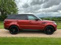 LAND ROVER RANGE ROVER SPORT SDV6 HSE DYNAMIC - 2688 - 8