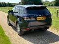 LAND ROVER RANGE ROVER SPORT SDV6 HSE DYNAMIC - 2701 - 15