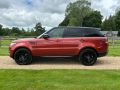 LAND ROVER RANGE ROVER SPORT SDV6 HSE DYNAMIC - 2688 - 13